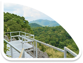 ภูเขาหินปะการัง